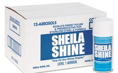 Stainless Steel Cleaner And Polish, 10 Oz Aerosol Spray, 12/carton