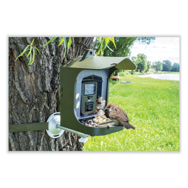 Full HD Birdcam TX-165, 8 Mpixels, Black/Green - Image 2