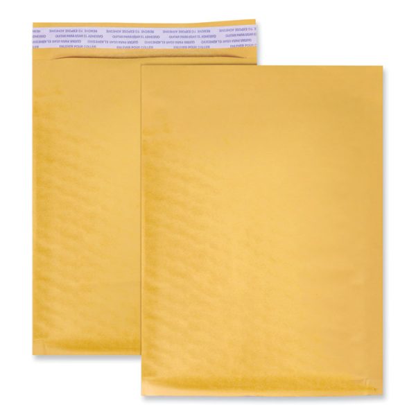 Peel Seal Strip Cushioned Mailer, #000, Extension Flap, Self-Adhesive Closure, 4 x 8, 500/Carton - Image 3