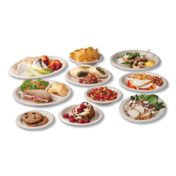 Nourish Molded Fiber Tableware, Plate, 9" Diameter, White, 500/Carton - Image 4