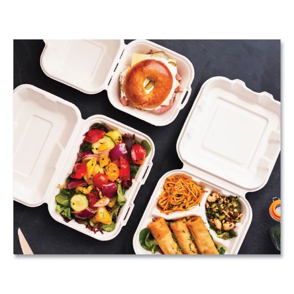 White Molded Fiber Clamshell Containers, 9 x 11 x 2, White, Sugarcane, 250/Carton - Image 3