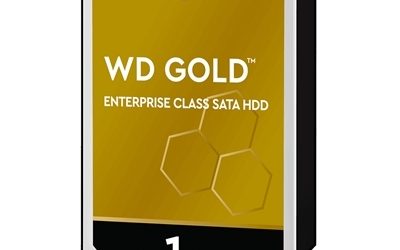 1TB WD Gold Datacenter HD