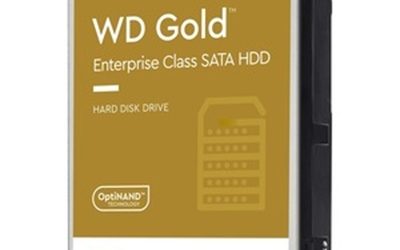 WD Gold WD221KRYZ 22 TB HDD