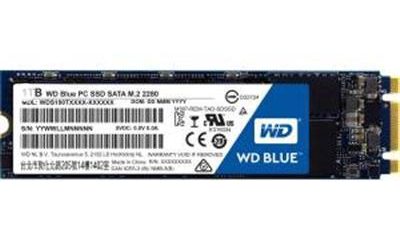 WD Blue M.2 2TB Internal SSD
