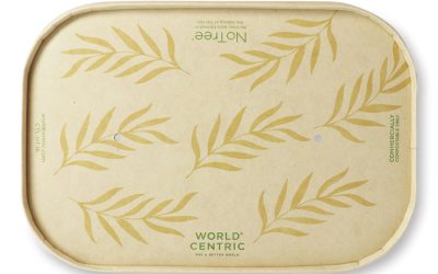 Paper Lids for Containers, 4.7 x 6.8, Natural, Paper, 300/Carton