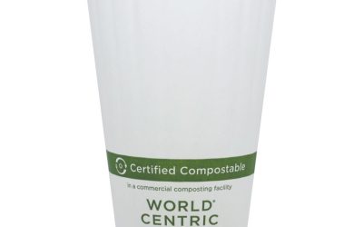 Double Wall Paper Hot Cups, 16 oz, White, 600/Carton