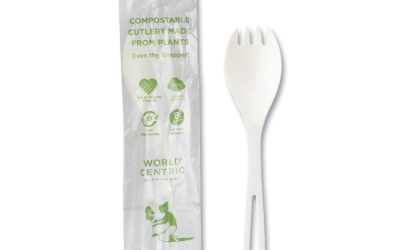 TPLA Compostable Cutlery, Spork, White, 750/Carton