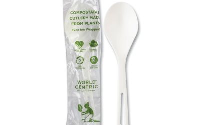 TPLA Compostable Cutlery, Soup Spoon, White, 750/Carton