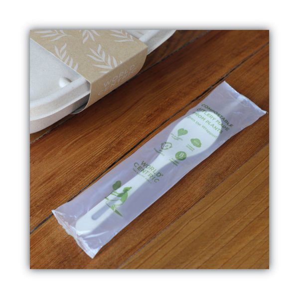 Tpla Compostable Cutlery, Spoon, 6", White, 750/carton - Image 3