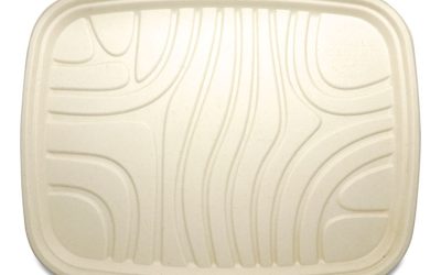 Fiber Trays, PLA Lined, PFAS Free, 1-Compartment, 18 x 14 x 1, Natural, Paper, 100/Carton
