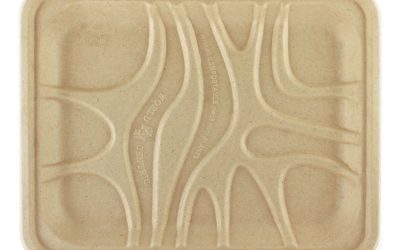 Fiber Trays, 7.1 x 9.1 x 0.7, Natural, Paper, 500/Carton
