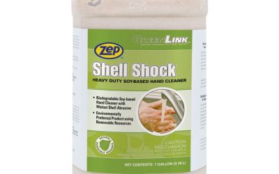 Shell Shock Heavy Duty Soy-Based Hand Cleaner, Cinnamon, 1 Gal Bottle, 4/carton